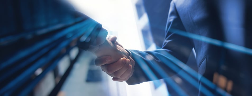 Phibro snaps up Zoetis' medicated feed additive portfolio for $350M