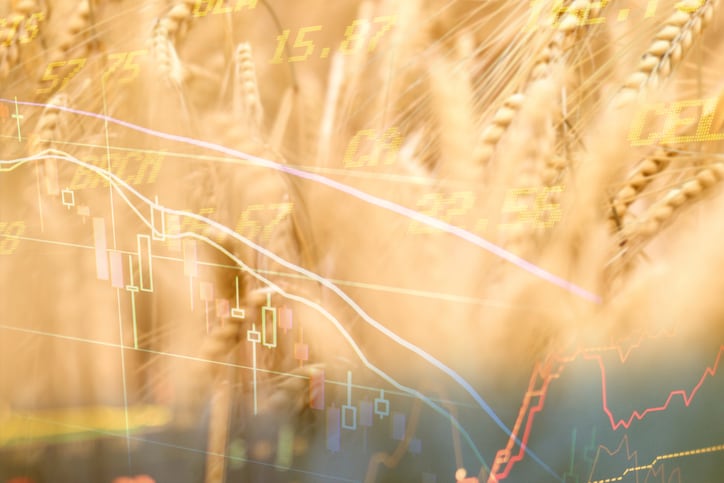 Agri-commodity market tracker: Global grain prices react to escalating tensions and weather concerns