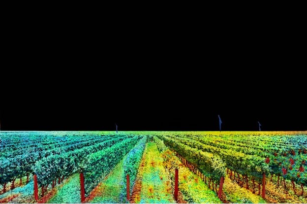 ‘World’s first’ laser device to analyse plant health remotely