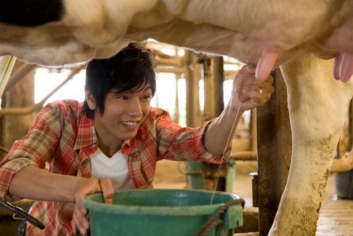 Japan-next-in-line-for-Bovaer-market-introduction.jpg