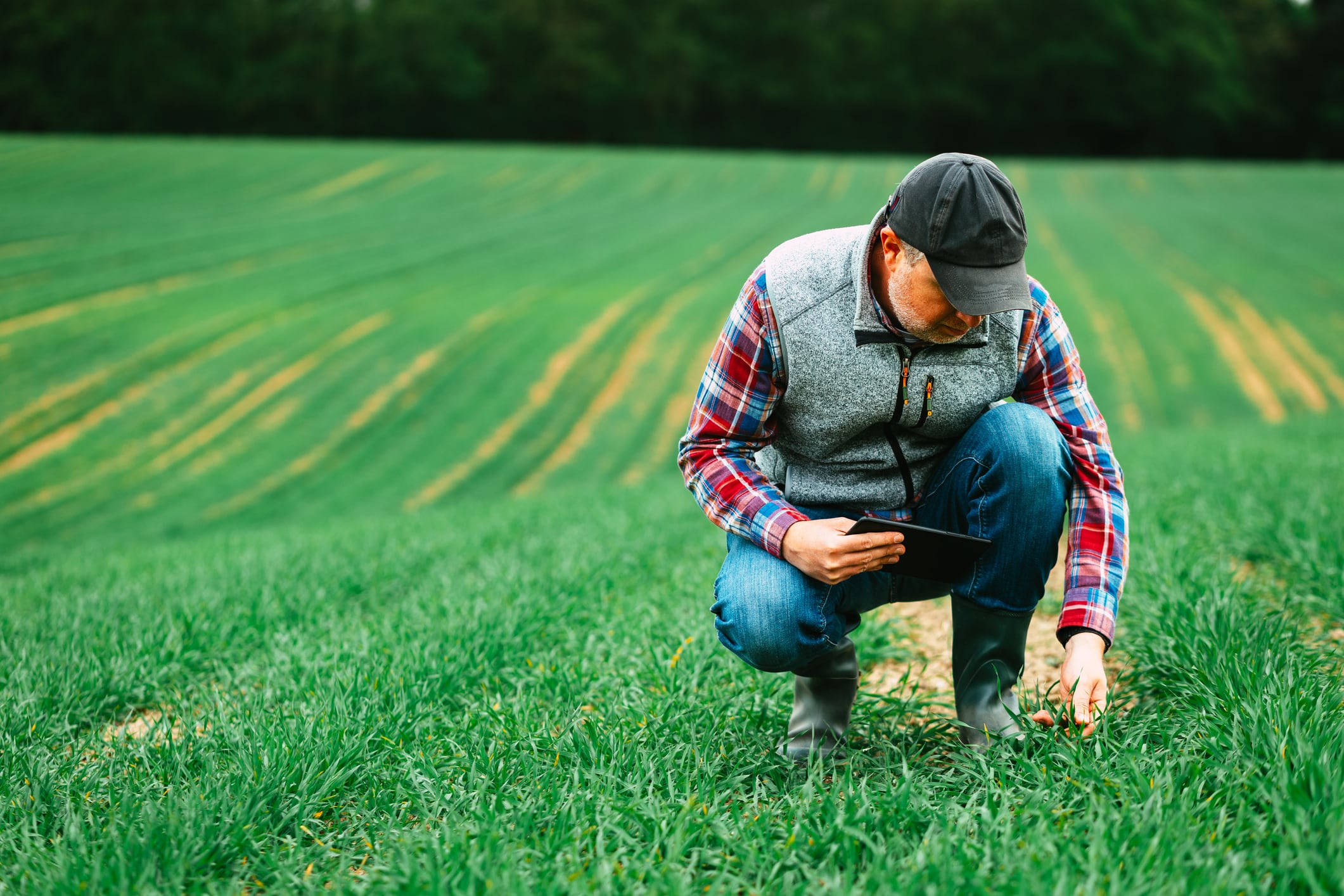 Trinity AgTech’s Agrimetrics acquisition: Lifeline for UK agri-tech or the death of a national data dream?