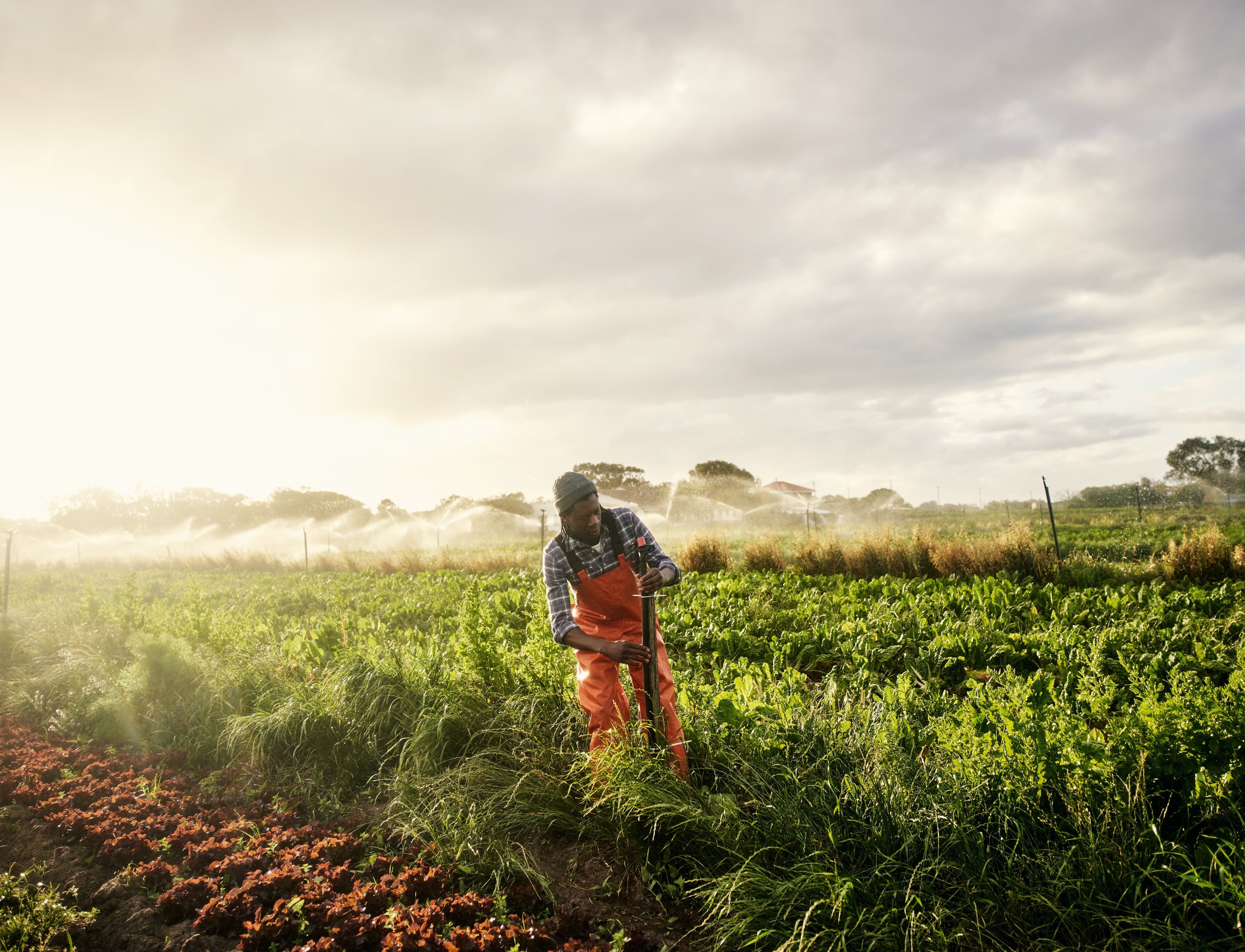 Man standing in field