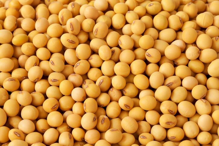 Trypsin inhibitor exposure could result from using alternative soybean ingredients in feed 