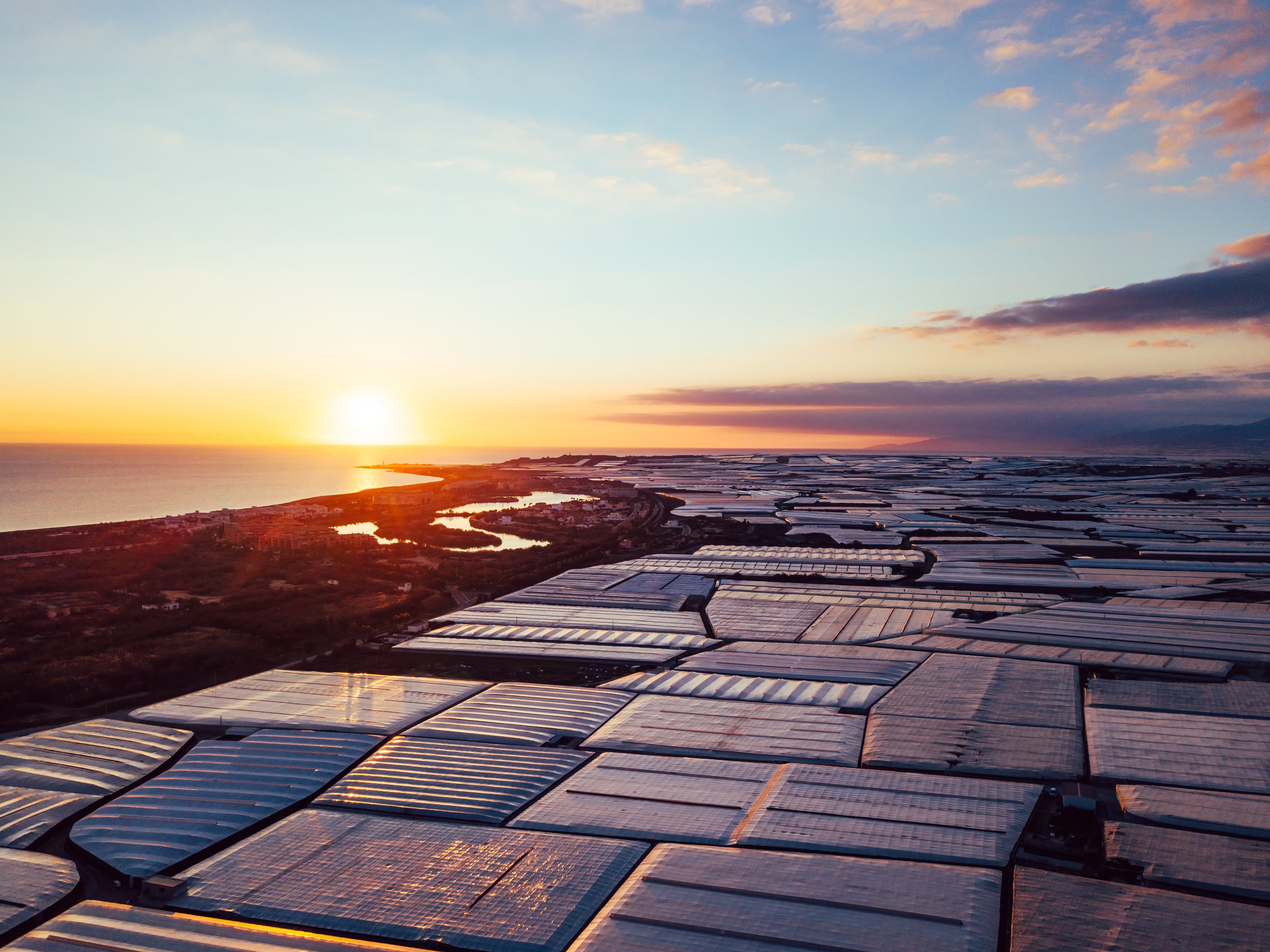 In Spain’s southern corner of Almeria, a ‘sea of greenhouses’ stretches for over 33,000-hectares, an ocean of plastic so bright it can be seen from space.