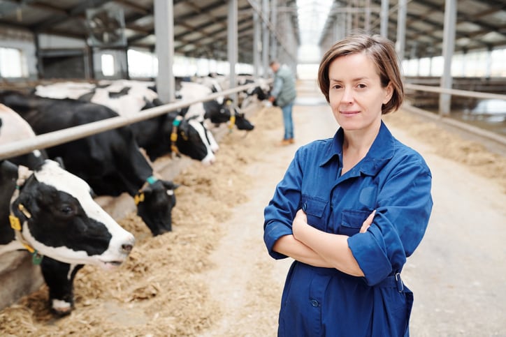 Replacing soybean meal with faba bean, lupin or pea seeds has highly variable effects on dairy performance