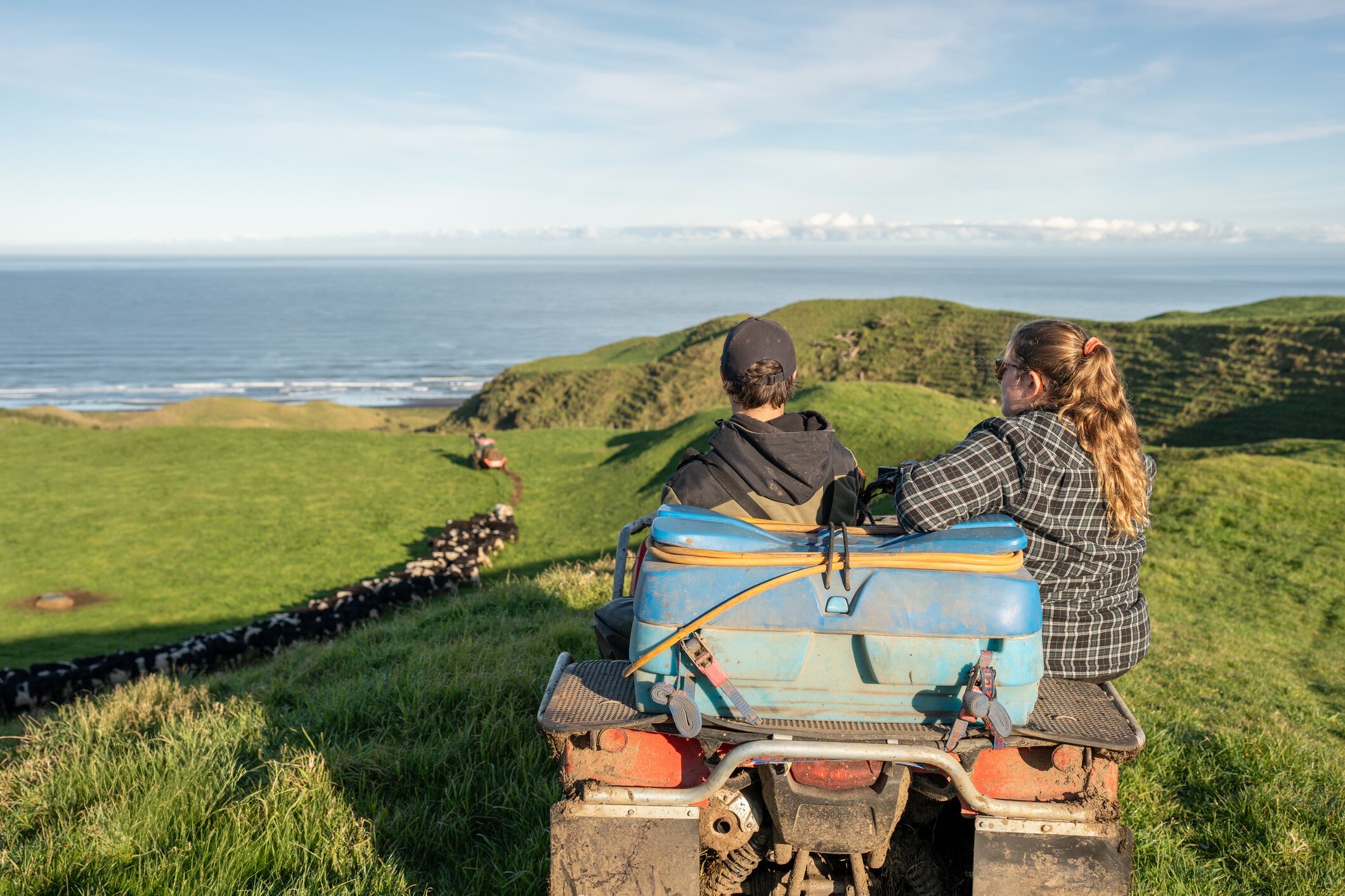 Young dairy farmers in New Zealand on a quad bike watching the cows being fed