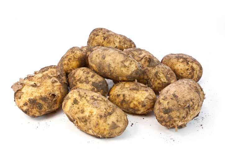 GeneNeer secures US$1 million in seed funding to speed crop seed innovation