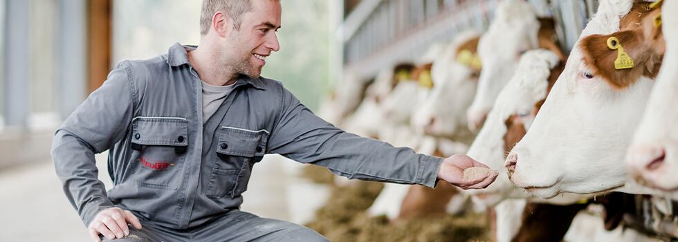 Performizer-a-green-approach-to-save-feed-cost-in-cow-dairy-production.png