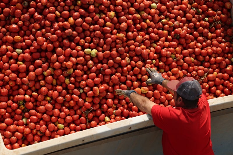 Kraft Heinz says the business case for regenerative agriculture is overwhelming