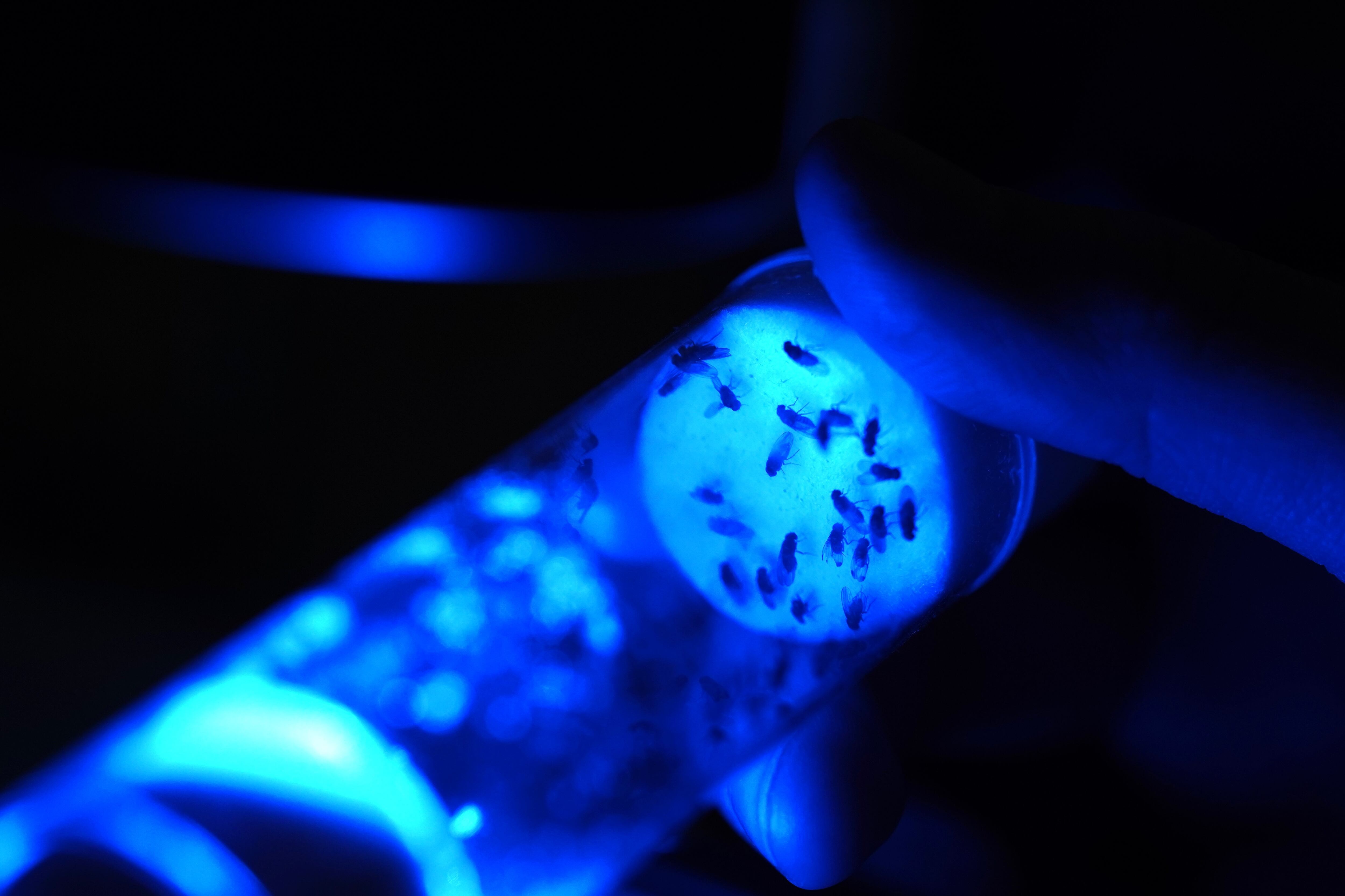 Biocentis secures $19M to reinvent insect control with ‘biology-first’ approach