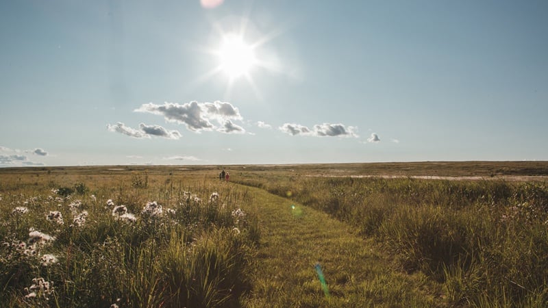 Mad Agriculture is on a mission to boost biodiversity and increase climate resilience in the U.S.