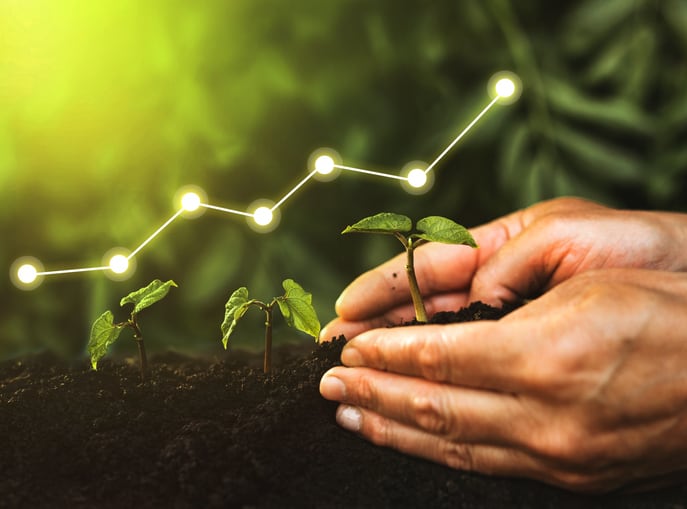 DLG backs Danish insect protein startup business, Enorm closes funding round of €50m