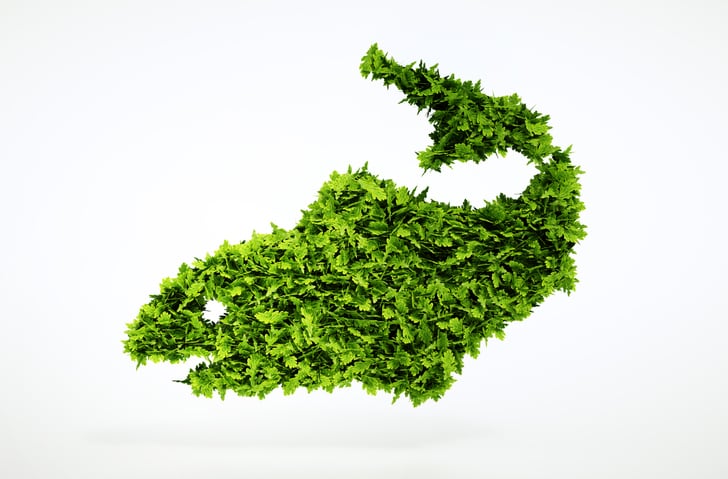 Scaling-up-novel-feed-raw-materials-in-a-sustainable-way.jpg
