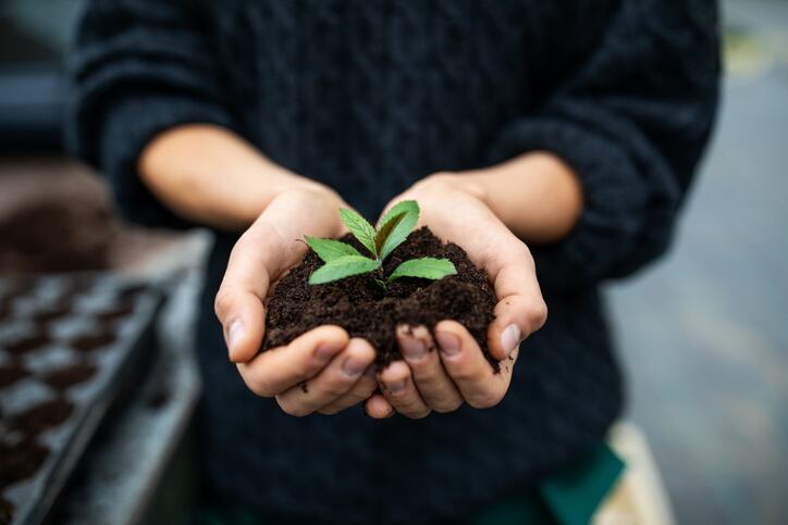 Mycorrhizal fungi: the key ingredient for 'supercharged' permanent carbon sequestration?