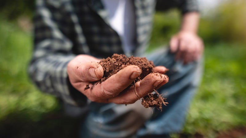 Ag’s carbon market opportunity: How this start-up uses AI to analyse soil health