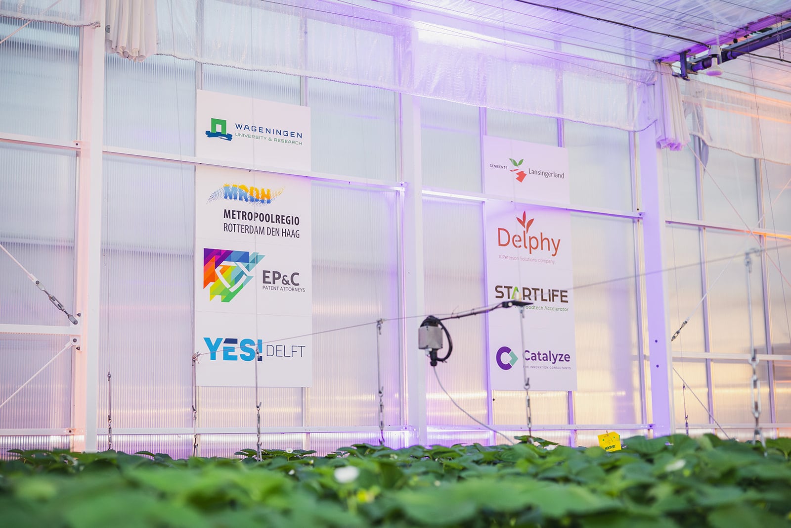 Netherlands unveils world’s first venture studio for greenhouse innovation