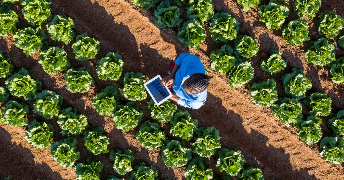 African agri-food innovation lack integration, not technology African agri-food innovation lack integration, not technology