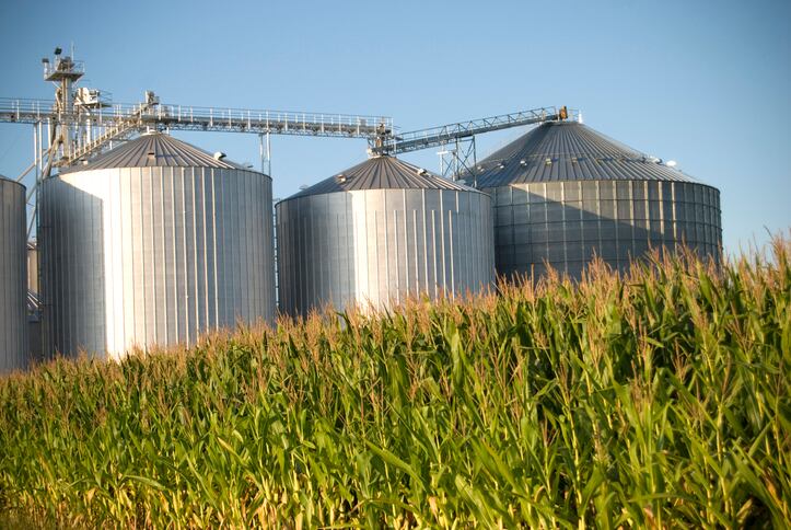 Ensuring the resilience of the EU feed sector