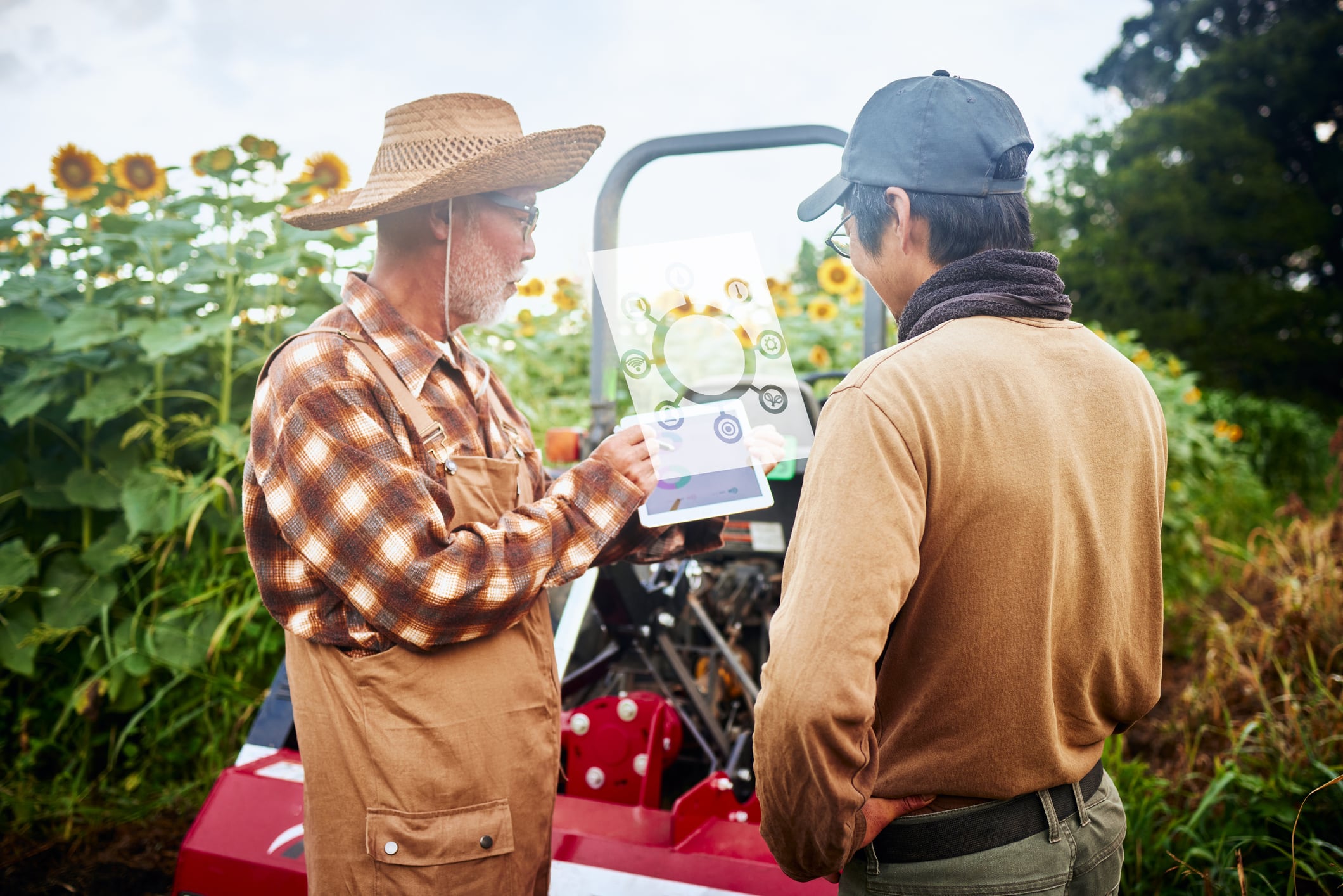 AI-powered insights set to identify best vegetable varieties for growers worldwide 