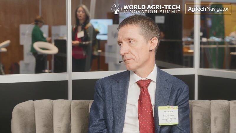 Grains market update: What to expect from the 2025/26 harvest 