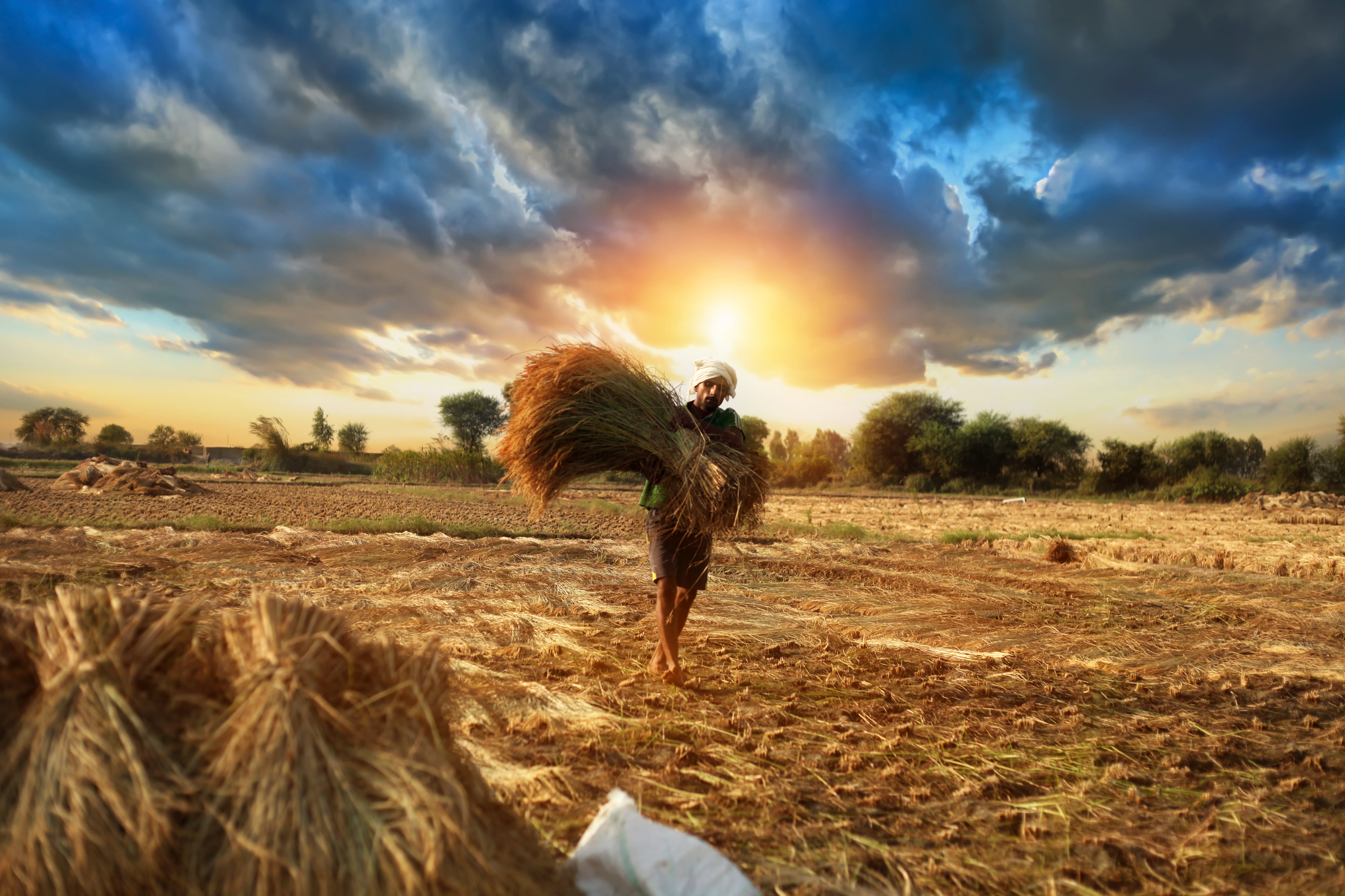 Omnivore VC on why Indian agritech companies are ‘built to last’