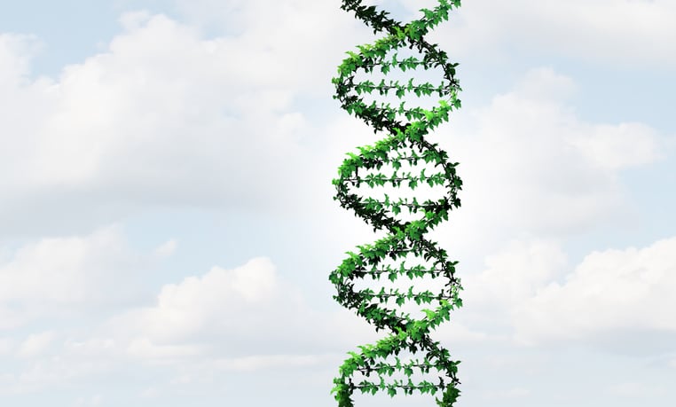 Researchers uncover biological circuit that protects plants from extreme conditions