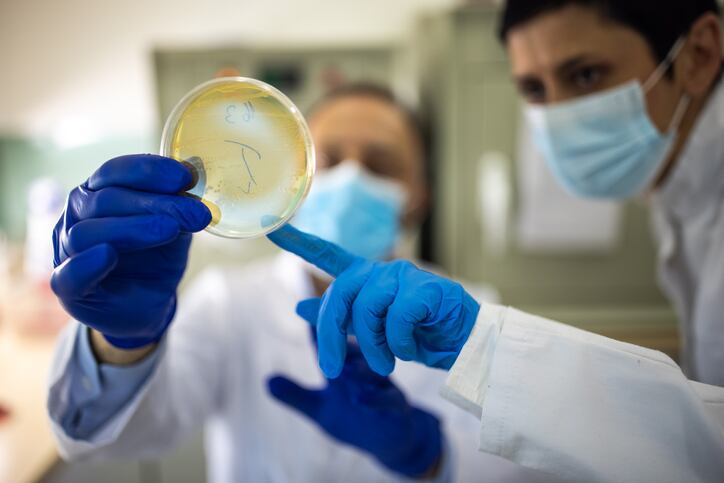 New Elanco and Ginkgo entity looks to animal health breakthroughs based on microbiome science