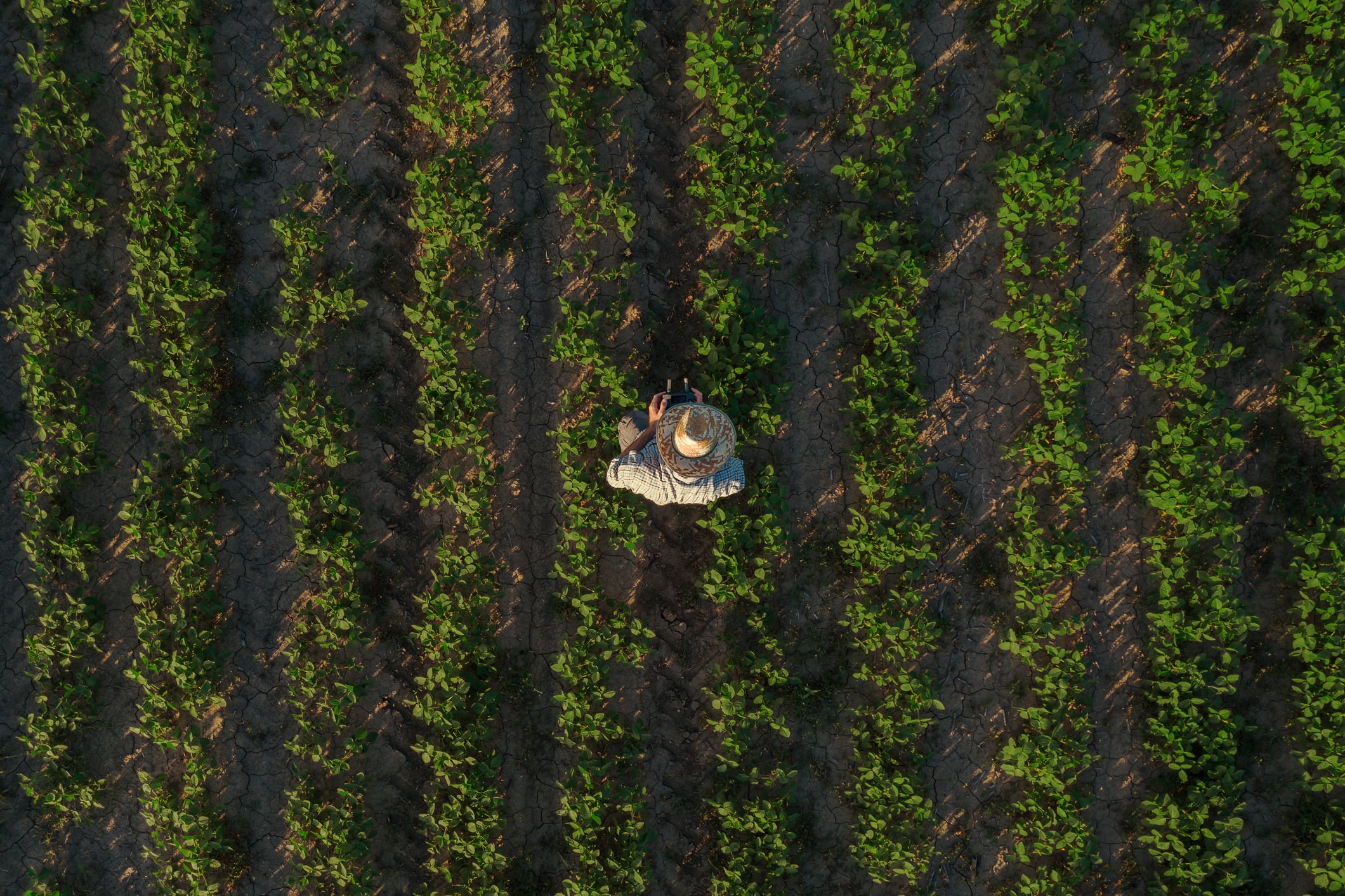 For the agtech sector, the programme represents a rare opportunity to move beyond pilot-stage innovation and into scalable deployment.