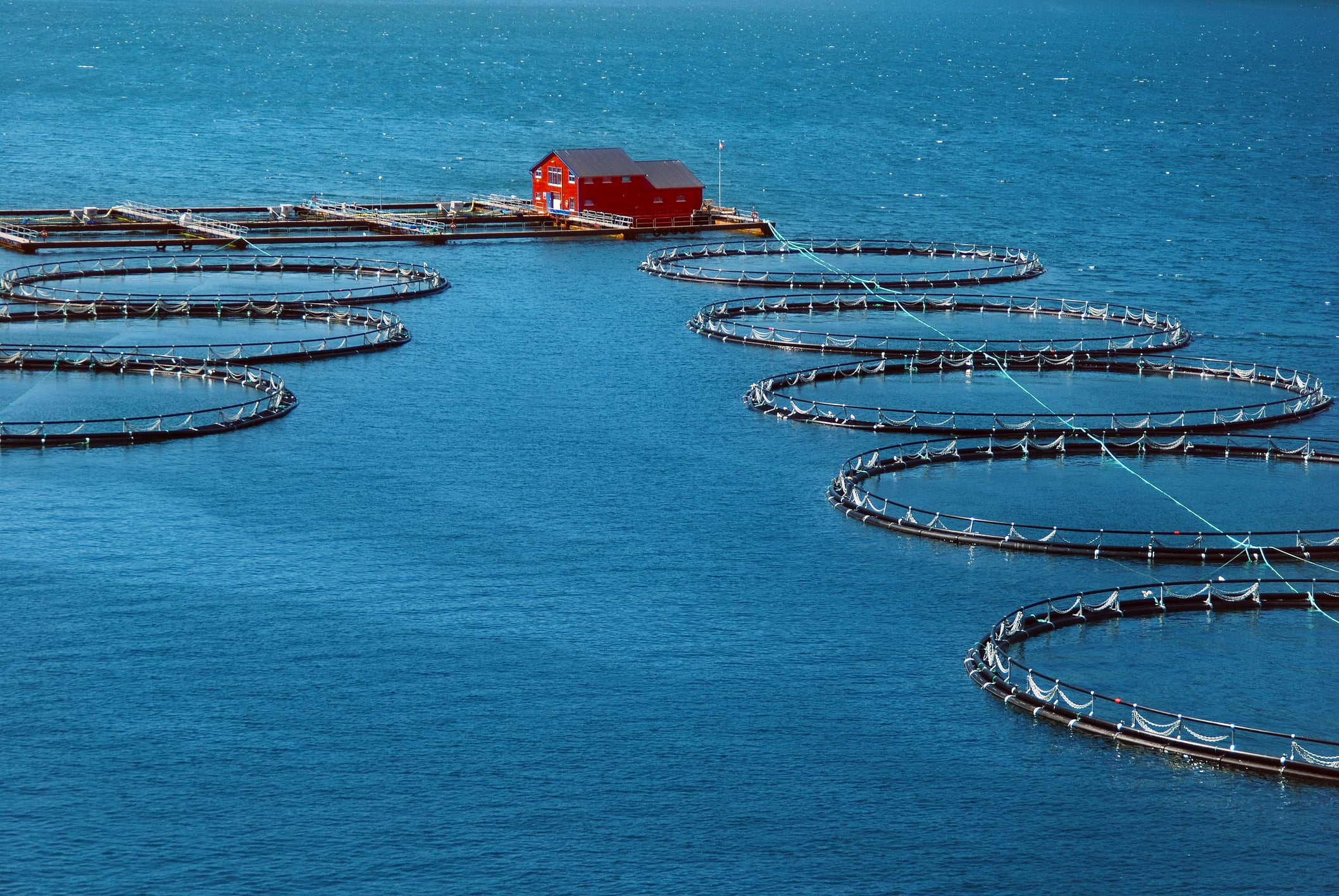 Mycoprotein facility for sustainable salmon feed to break ground in Norway in Q3 2025