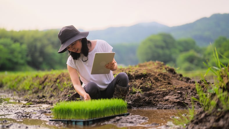 Tech adoption: Smallholder farmer engagement must start early and pay off fast 
