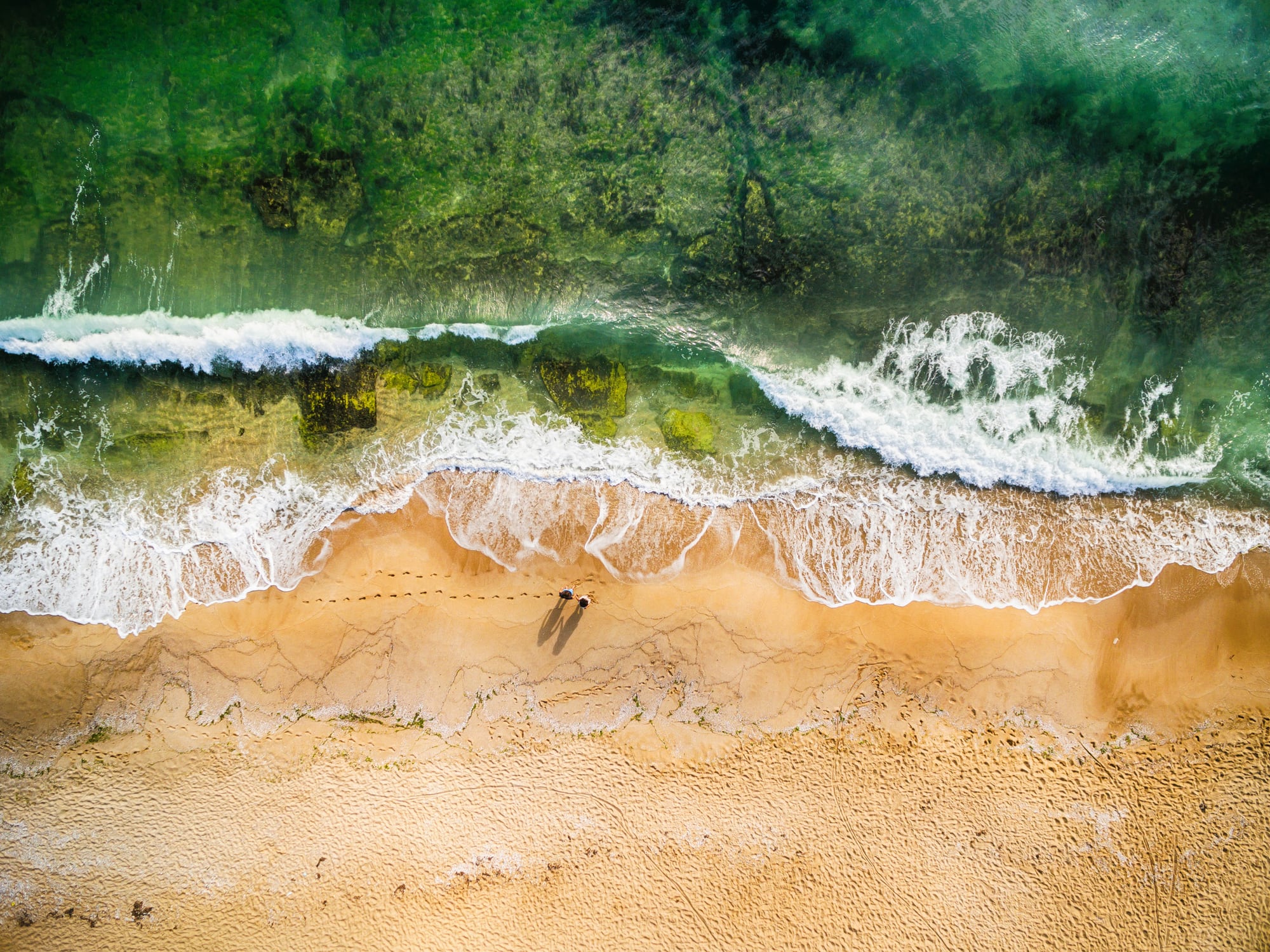 Sound waves can cut reliance on synthetic inputs, start-up claims
