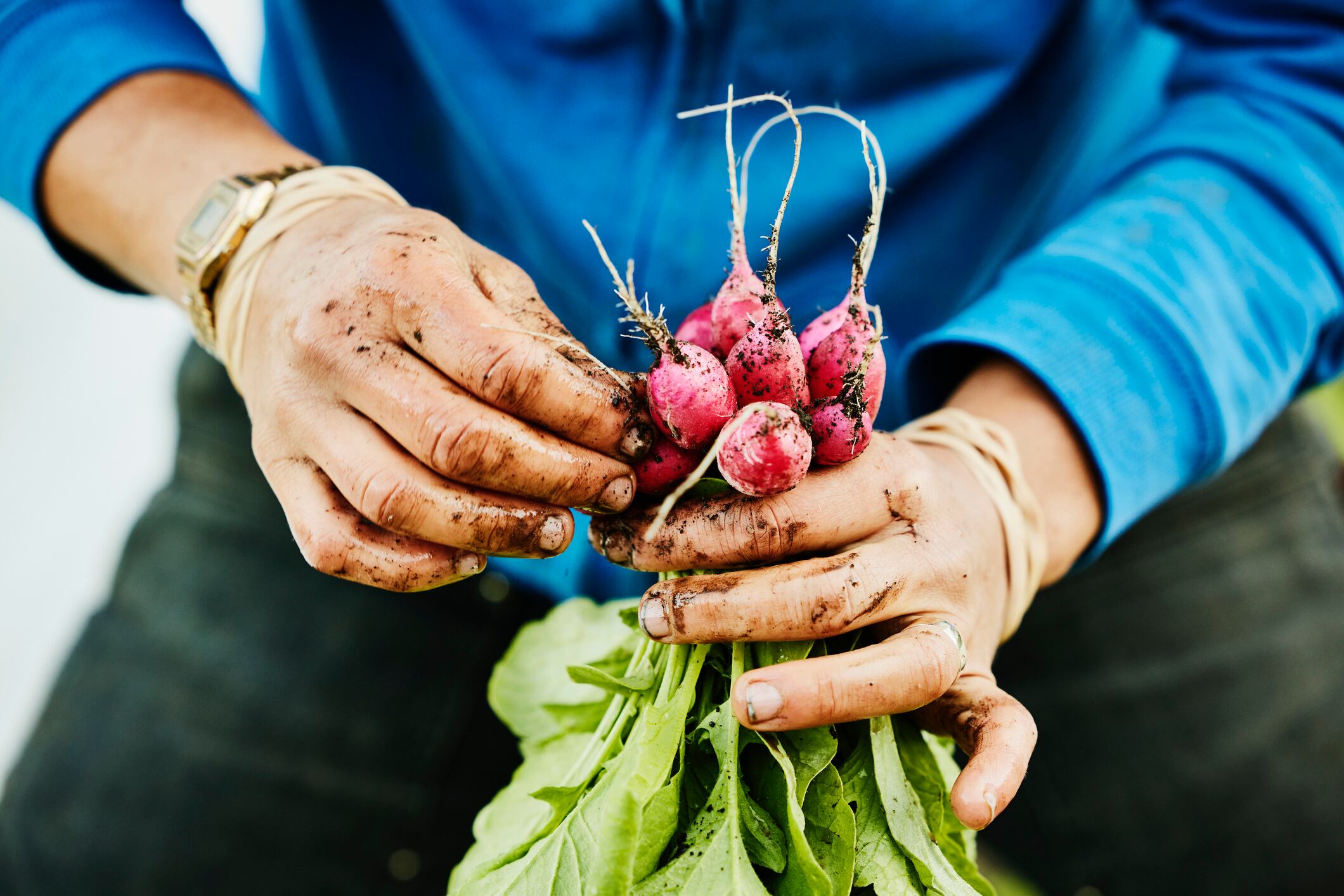 Food safety fears as nanoplastics found in crops