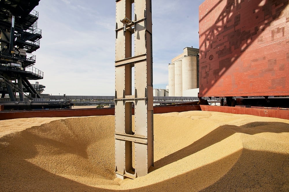 Cereal-Docks-Marghera_soy_2.jpg