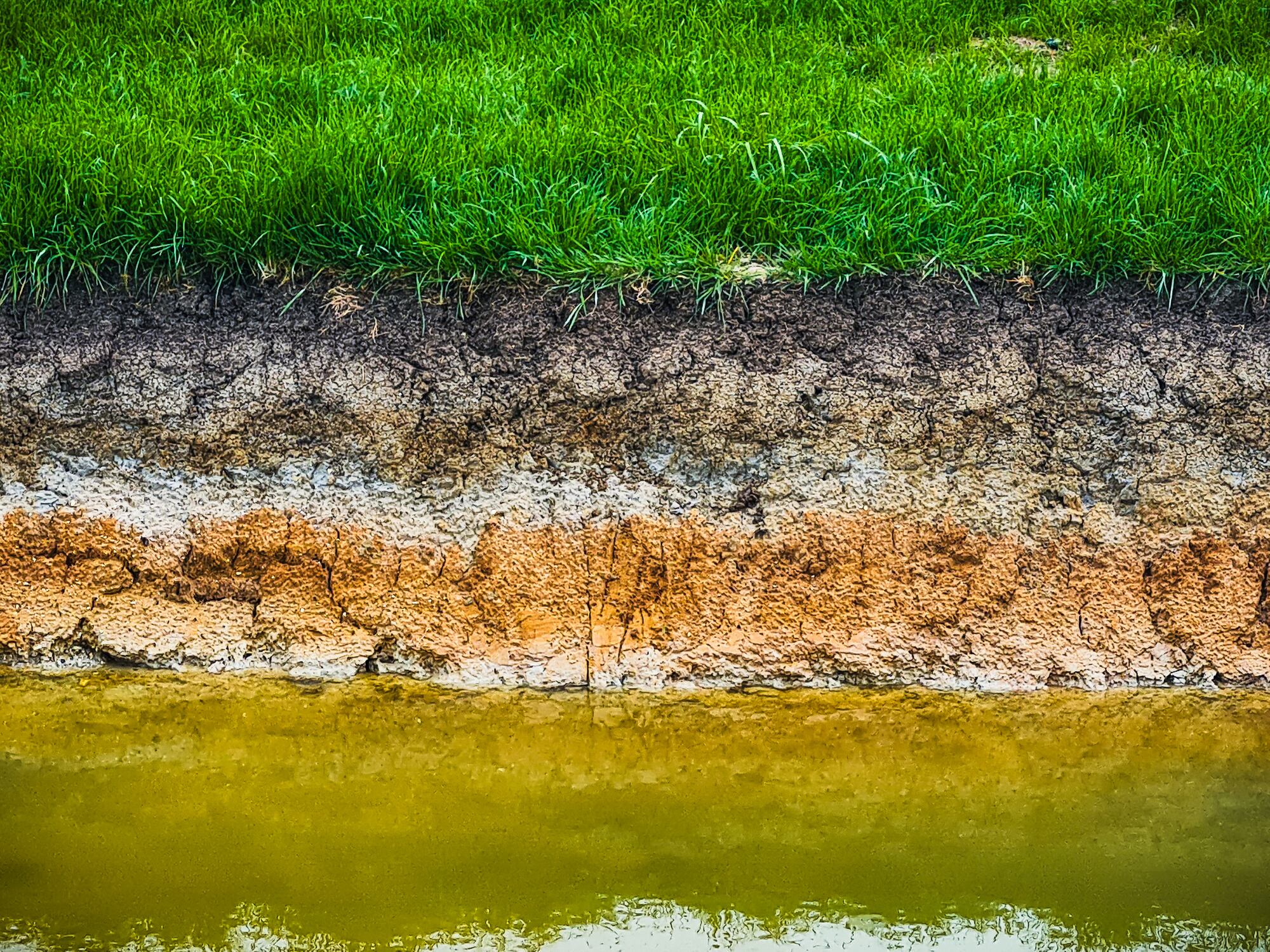 Ploughing into trouble: Rothamsted study warns soil erosion is top threat to global food security