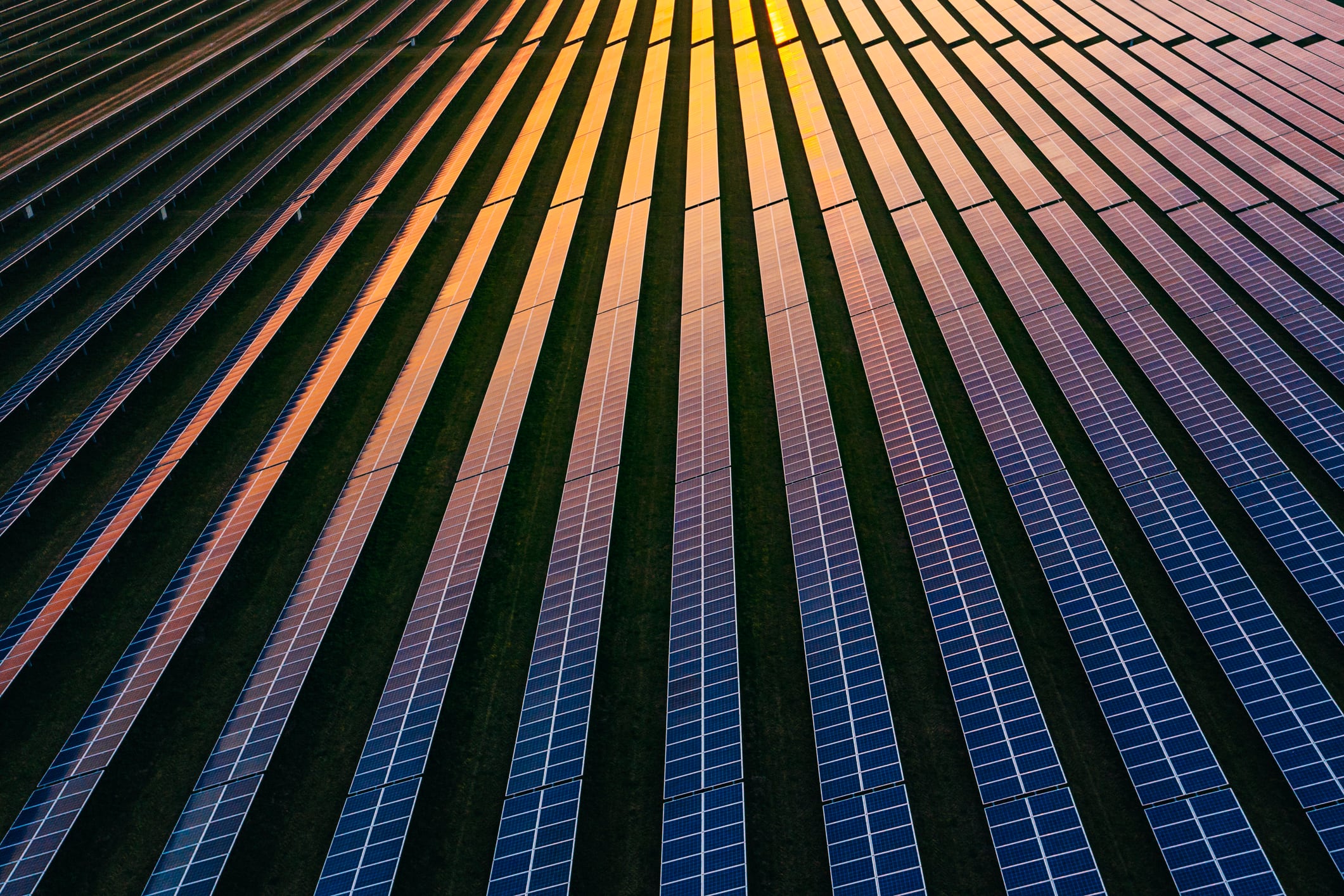 SOSV’s Po Bronson wants you to break out of the agtech echo chamber 