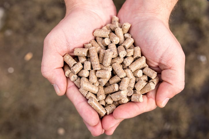 Understanding of pellet binding properties key for use of fibrous co-products