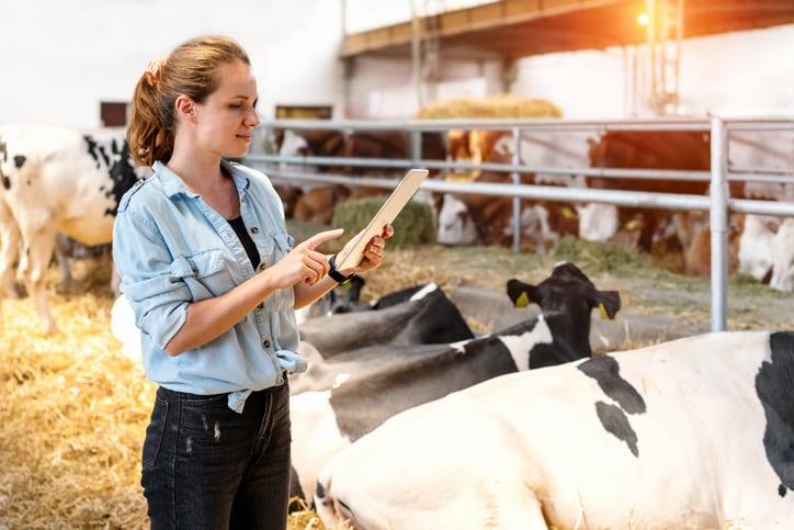 AI-tech-set-to-improve-efficiency-on-dairy-farms.jpg