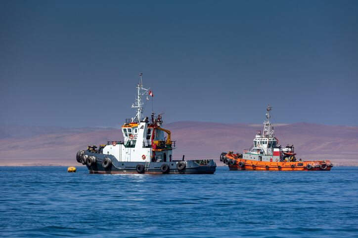 Marine ingredients organization IFFO calls Peru’s decision to cancel the critical first anchovy fishing season ‘wise’