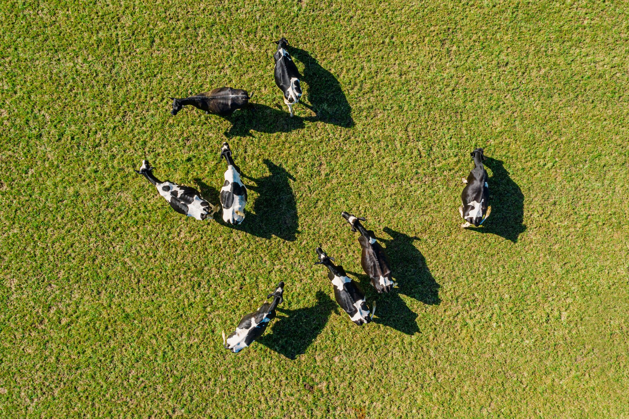 A conservative fund that’s delivering results: Yield Lab Europe’s first €55m fund is fully deployed across 32 companies — and its second is now closing.