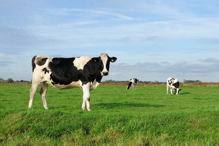How can industry engage farmers and collaborate to achieve methane reduction?