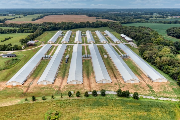 Draft USDA rule proposes protections for poultry farmers against corporate abuse