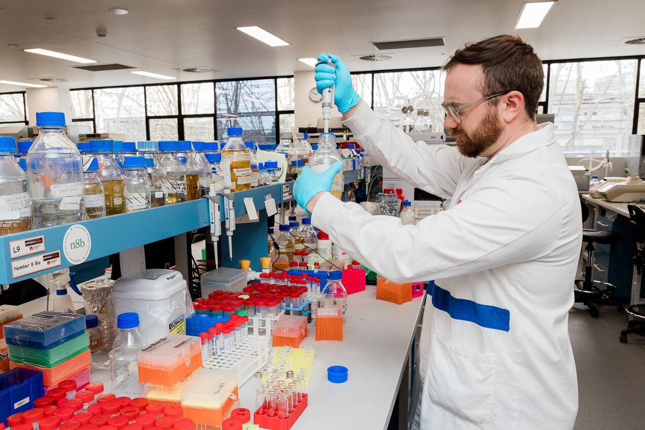 Number 8 Bio secures $7m for scalable methane-reducing feed additives in cattle