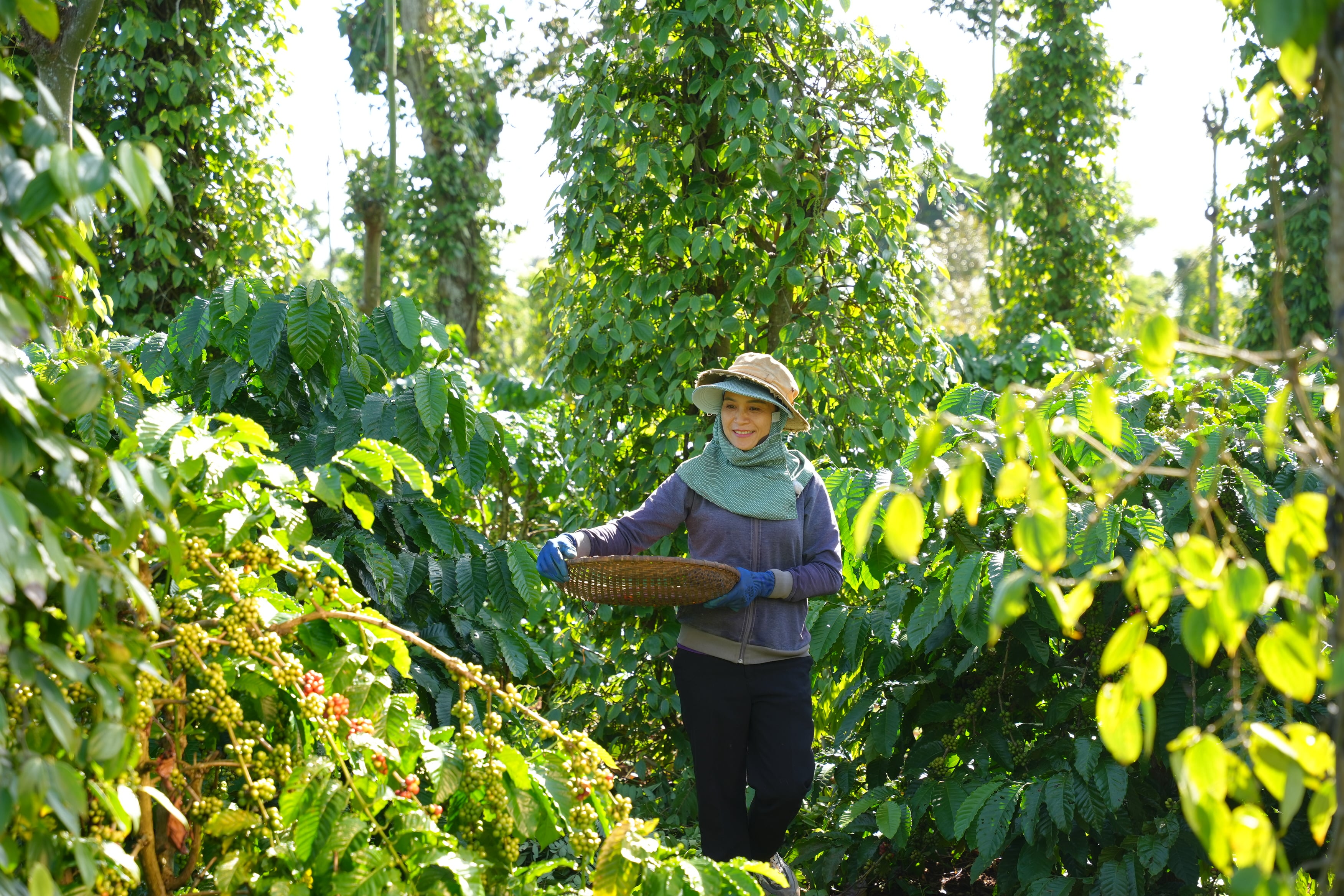 Nestle and Vietnam sign MoU