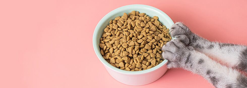 Regulatory-affairs-Pen-Tec-for-animal-feed-product-lifecycle-management.jpg