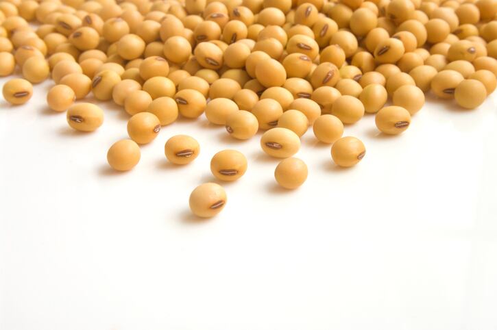 US soy crush market woes: ‘The current shrinking margins will test old and new plants’