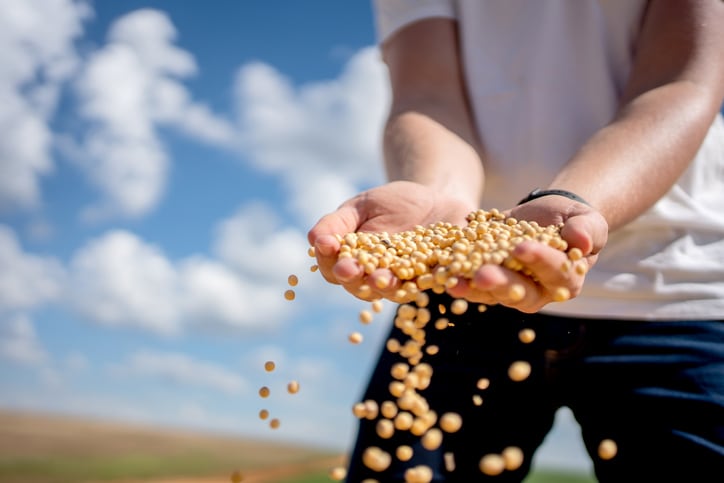 Benson Hill's soybean field trials reveal minimal trade-off between yield and protein