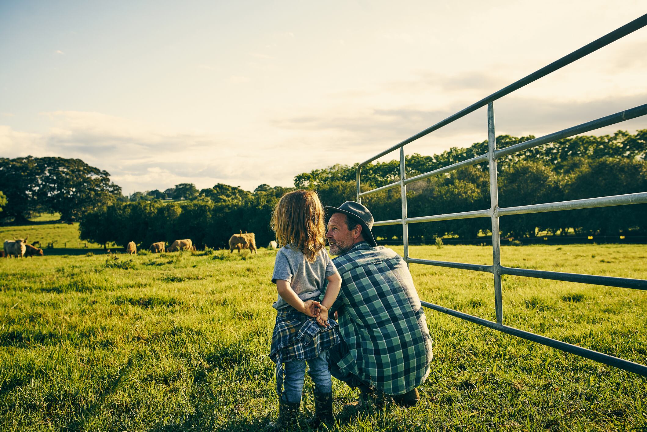 Regulatory reform could help reverse the long decline in young farmers, reckons the ECCA.