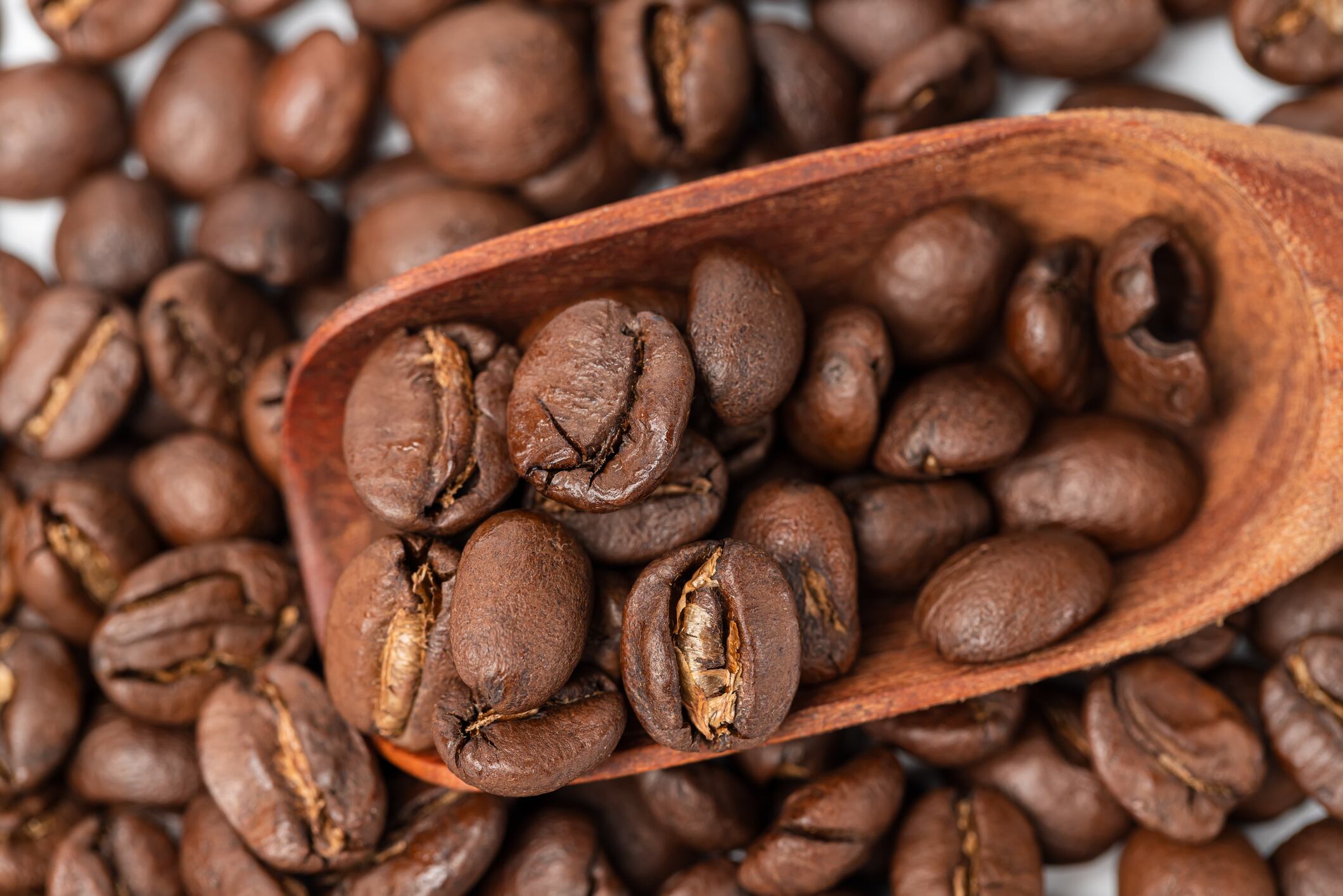 The bill’s supporters say it could alleviate a growing cost burden on coffee importers, roasters and retailers caused by a series of tariffs, including a 50% duty on Brazilian coffee.