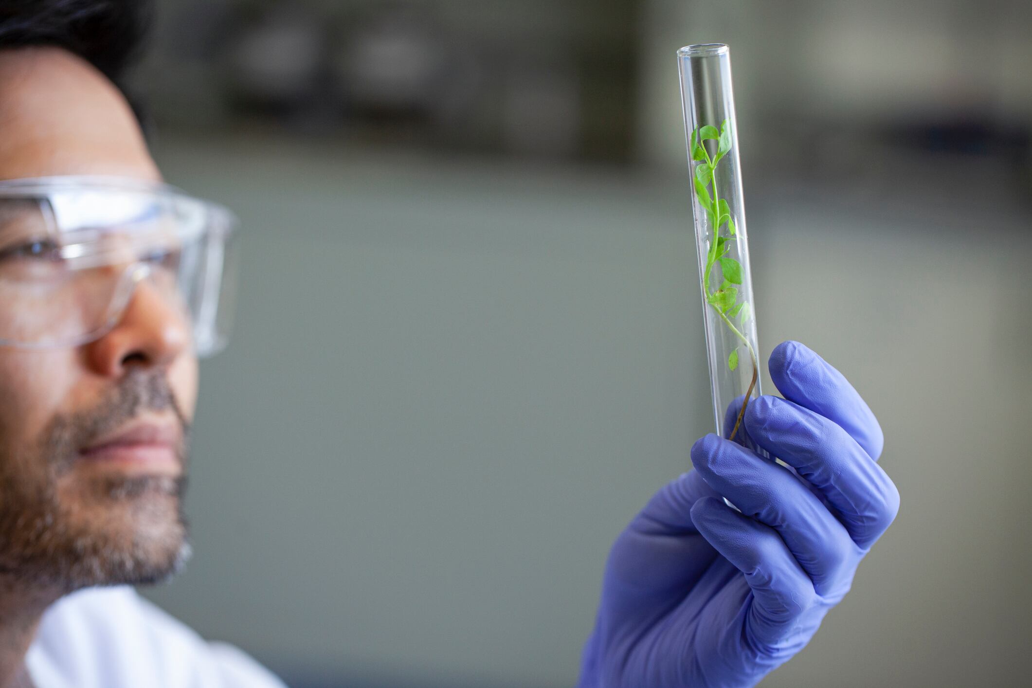 Rather than structuring trials and pilots to show that a technology works, it’s been argued start‑ups should design experiments explicitly to disprove their own hypotheses as quickly as possible.