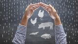 Water-soluble probiotics vs AGPs: the changing landscape of poultry farming